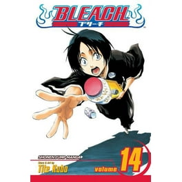 Bleach Bleach, Vol. 33, Book 33, (Paperback) - Walmart.com
