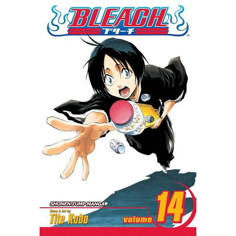 定価24万】BLEACH DVD BOX 8箱53枚／初回特典設定資料集14冊 【公式通販】