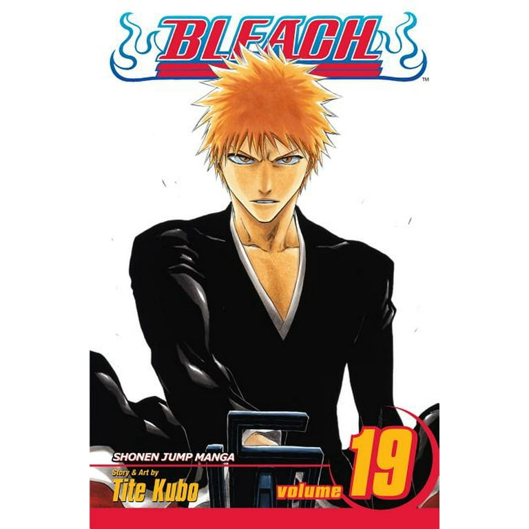 BLEACH Manga Volume 19