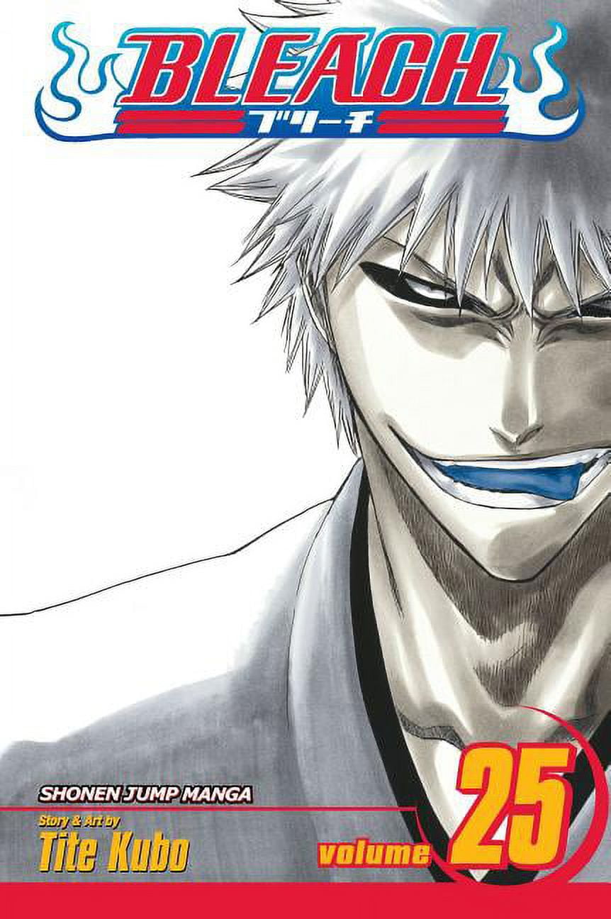 Bleach Bleach, Vol. 25, Book 25, (Paperback) - Walmart.com