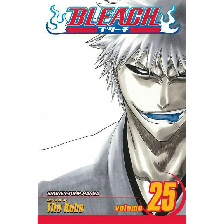 Bleach Bleach, Vol. 25, Book 25, (Paperback) - Walmart.com