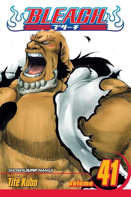 Bleach Bleach, Vol. 41, (Paperback) - Walmart.com
