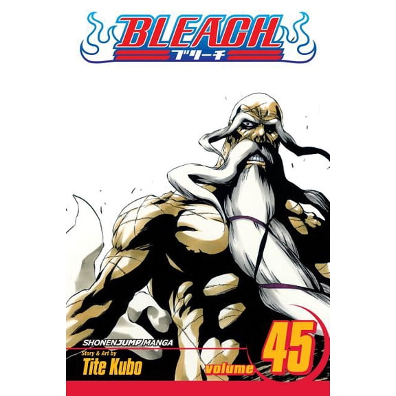 Bleach Bleach, Vol. 45: The Burnout Inferno, Book 45, (Paperback)