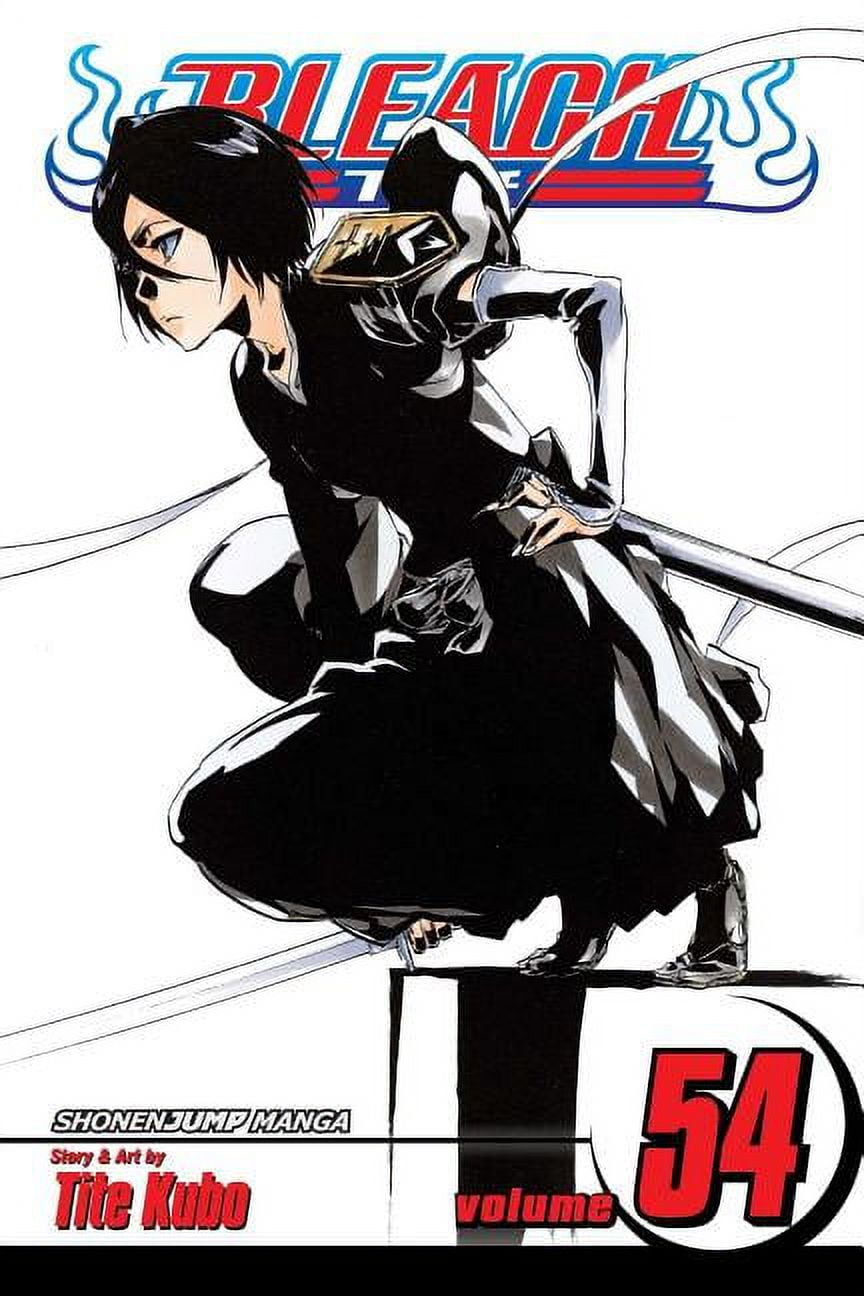 Bleach Bleach, Vol. 54, (Paperback) - Walmart.com
