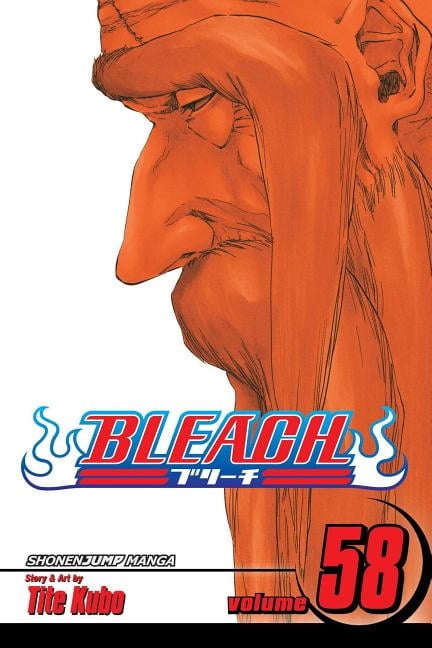 Bleach Bleach, Vol. 63, (Paperback) - Walmart.com