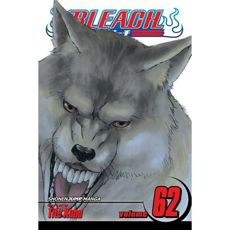 Bleach, Vol. 62, (Paperback) - Walmart.com