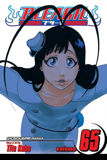 Bleach Bleach, Vol. 65, Book 65, (Paperback) - Walmart.com