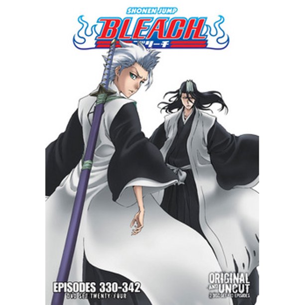 Bleach Box Set 24 (DVD)