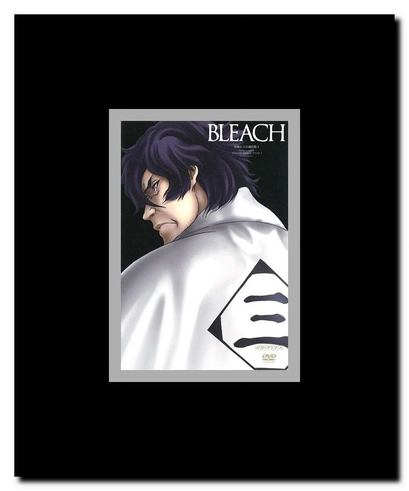 Bleach Framed Movie Poster