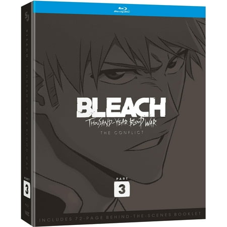 BLEACH: Thousand-Year Blood War Part 3