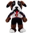 thumbnail image 1 of Bleacher Creatures Colorado Avalanche Bernie 10" Plush Figure- A Mascot for Play or Display, 1 of 6