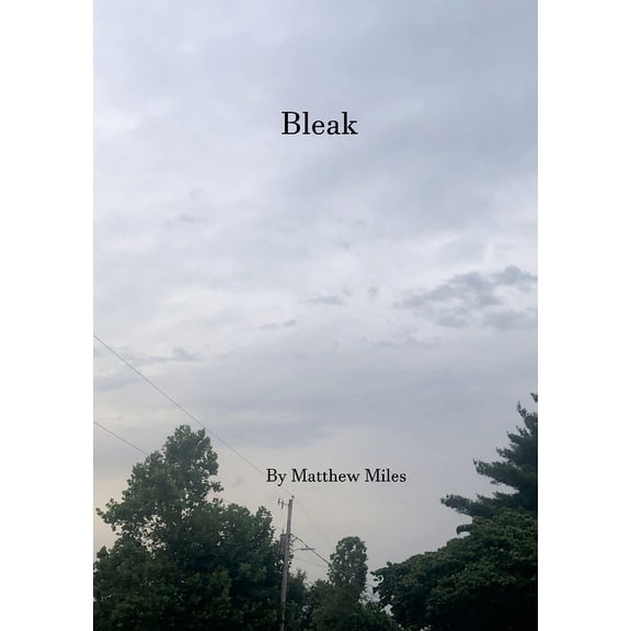 Bleak, (Paperback)