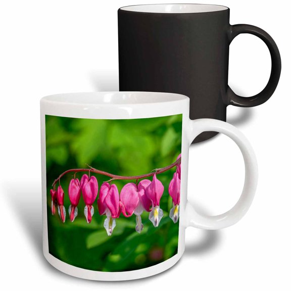 3drose, Bleeding Heart Blooms., 11oz Magic Transforming Mug