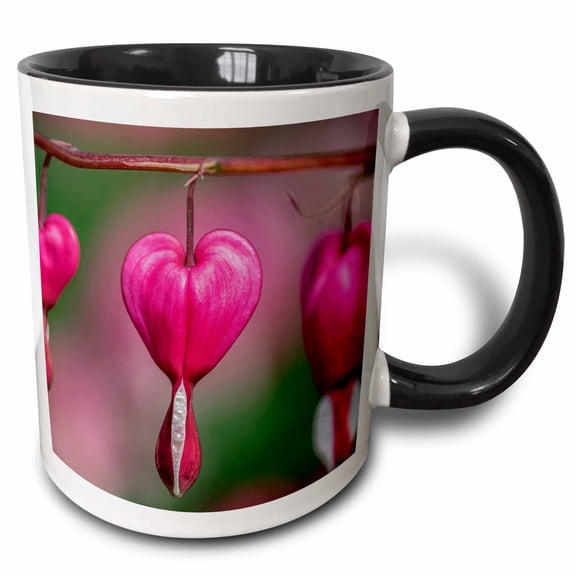 3drose, Bleeding Heart Flower, 11oz Two-tone Black Mug