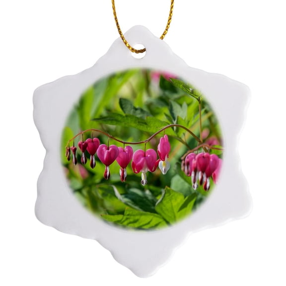3drose, Bleeding Heart Flower, Reading, Massachusetts, Usa., 3 inch Snowflake Porcelain Ornament