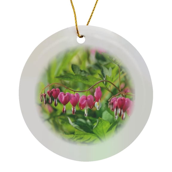3drose, Bleeding Heart Flower, Reading, Massachusetts, Usa., Circle Porcelain Ornament
