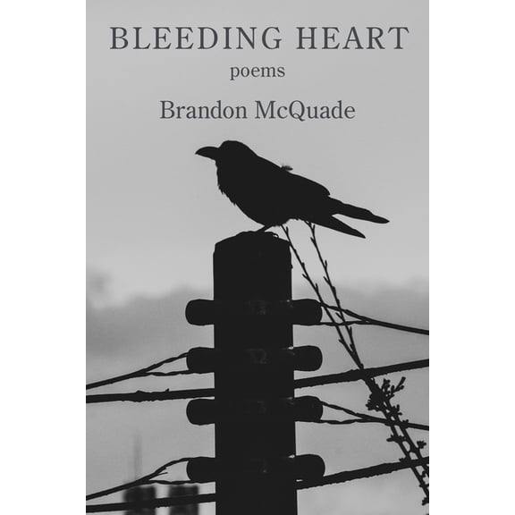 Bleeding Heart (Paperback)