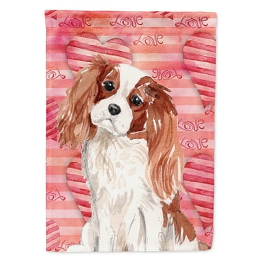 Blenheim Cavalier Spaniel Love House Flag