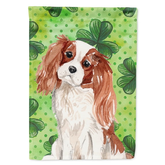 Blenheim Cavalier Spaniel St. Patricks House Flag