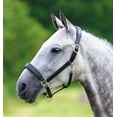 thumbnail image 1 of Blenheim Leather Travel Headcollar Full, 1 of 1