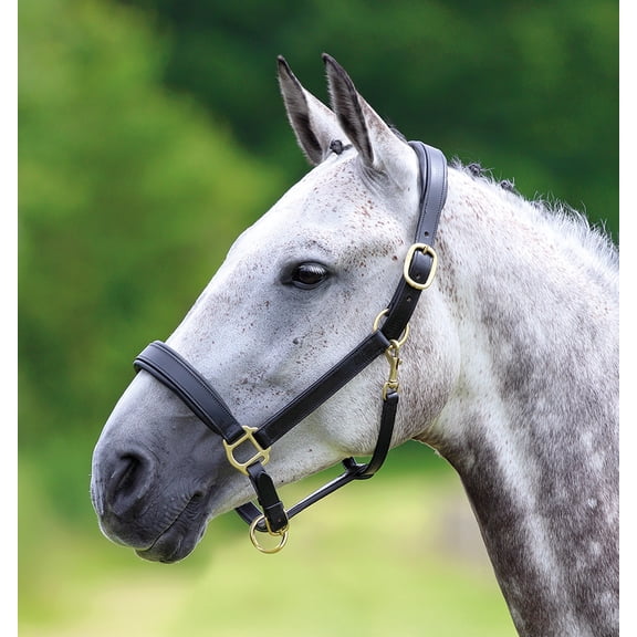Blenheim Leather Travel Headcollar Pony