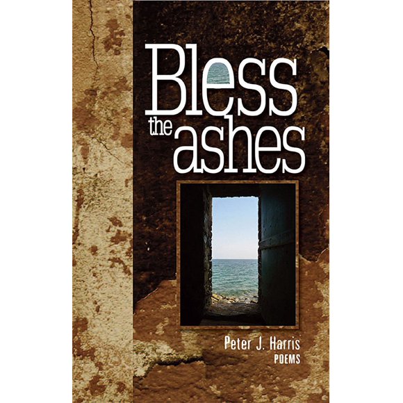 Bless the Ashes (Paperback)