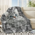 thumbnail image 1 of BlessLiving Flannel Fleece Throw Blanket Cat Pattern Blanket for Bed Sofa Gray Kitty Lightweight Fuzzy Blankets, 1 of 6