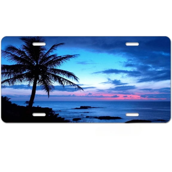 Blessed License Plate Funny Car Decoration Vanity Tag Stainless Steel License Plate Frame Fits Any Standard Us License Plate Holder 6.2x12.2 Inch for Women Men