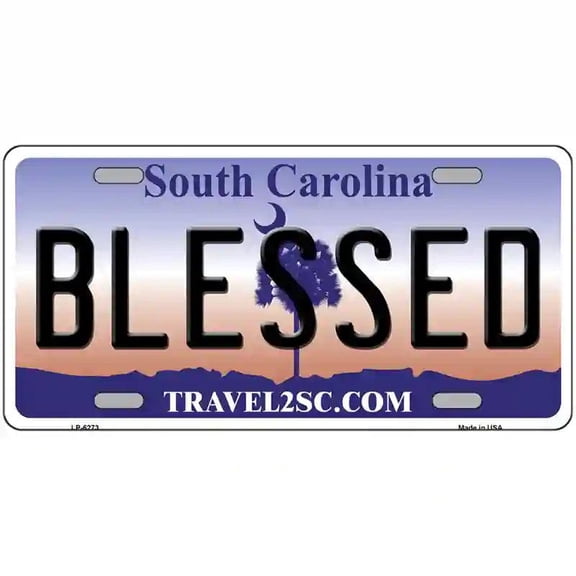 Blessed South Carolina Novelty Metal License Plate 12" x 6" Automotive