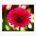 thumbnail image 1 of Blessed Sticker, 1 of 4