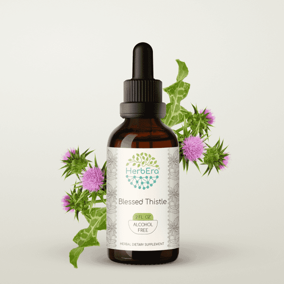 HerbEra Blessed Thistle Tincture, Herbal Dietary Supplement for Digestive Support, Blessed Thistle (Cnicus benedictus) Dried Leaf Extract, Natural, Alcohol-Free, Drops 2 oz