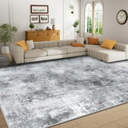 Bleum Cade 5x7 Area Rugs for Living Room,Soft Washable Non Slip Bedroom Rug,Modern Abstract Grey Dinning Room Large Carpet
