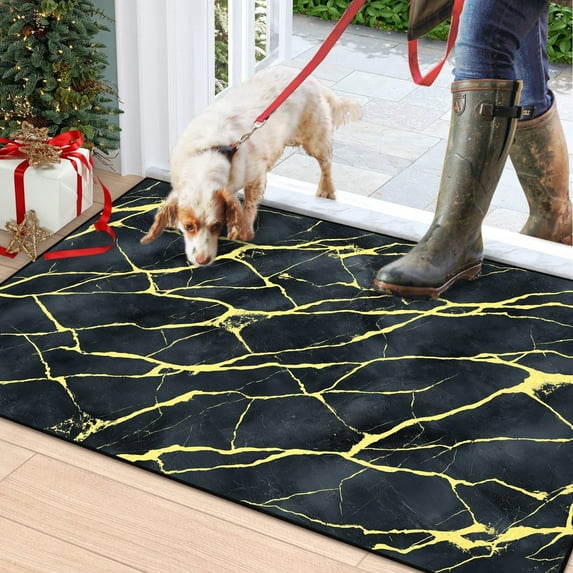 Bleum Cade Area Rugs for Doormat 2X3,Marble Swirl Abstract Rugs, Machine Washable Foldable Non Slip Outdoor Indoor Welcome Mat