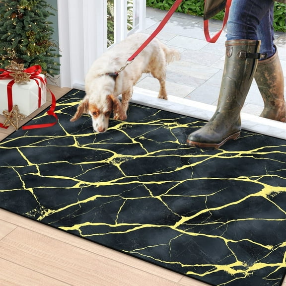 Bleum Cade Area Rugs for Doormat 2X3,Marble Swirl Abstract Rugs, Machine Washable Foldable Non Slip Outdoor Indoor Welcome Mat