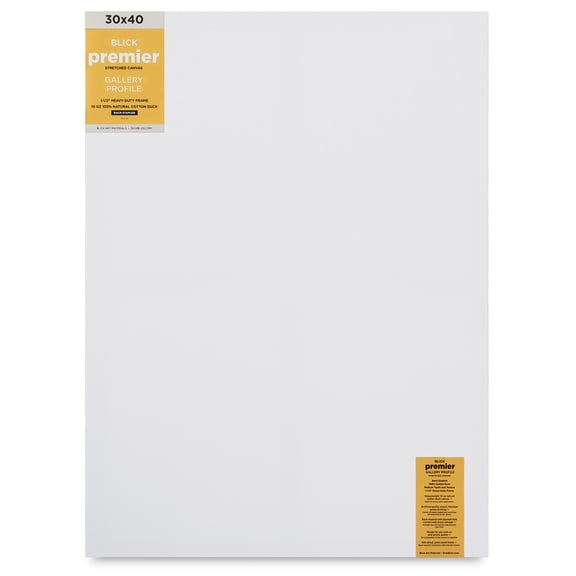 Blick Premier Stretched Cotton Canvas - Gallery Profile, Back-Stapled, 30" x 40"