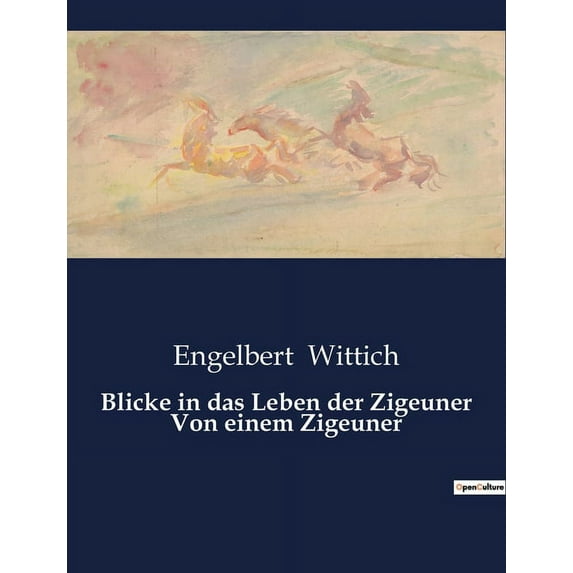 Blicke in das Leben der Zigeuner Von einem Zigeuner, (Paperback)