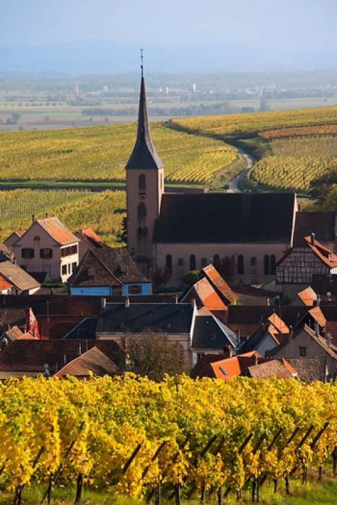 Blienschwiller Alsatian Wine Route Canvas Art - Walter Bibikow DanitaDelimont (18 x 26)