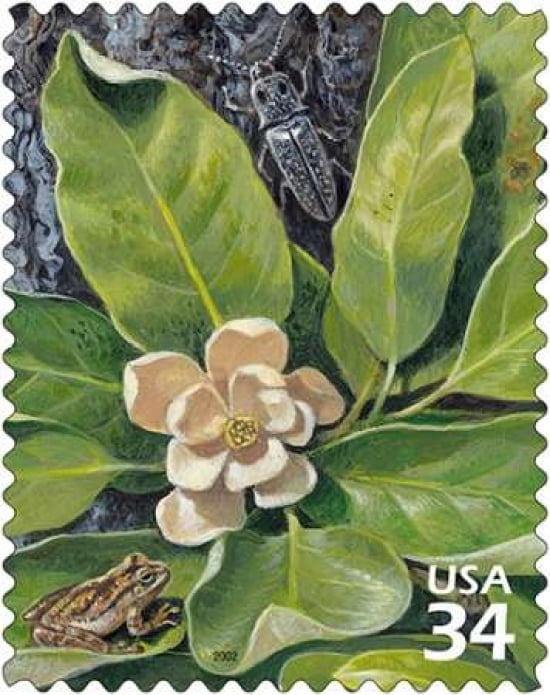 Blind Click Beetle Canvas Art - US POSTAL SERVICE (24 x 30)