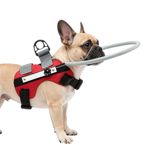 Blind Dog Halo Harness, Lightweight Adjustable Blind Ring for Dogs Cats, Pet Harness Guide Device