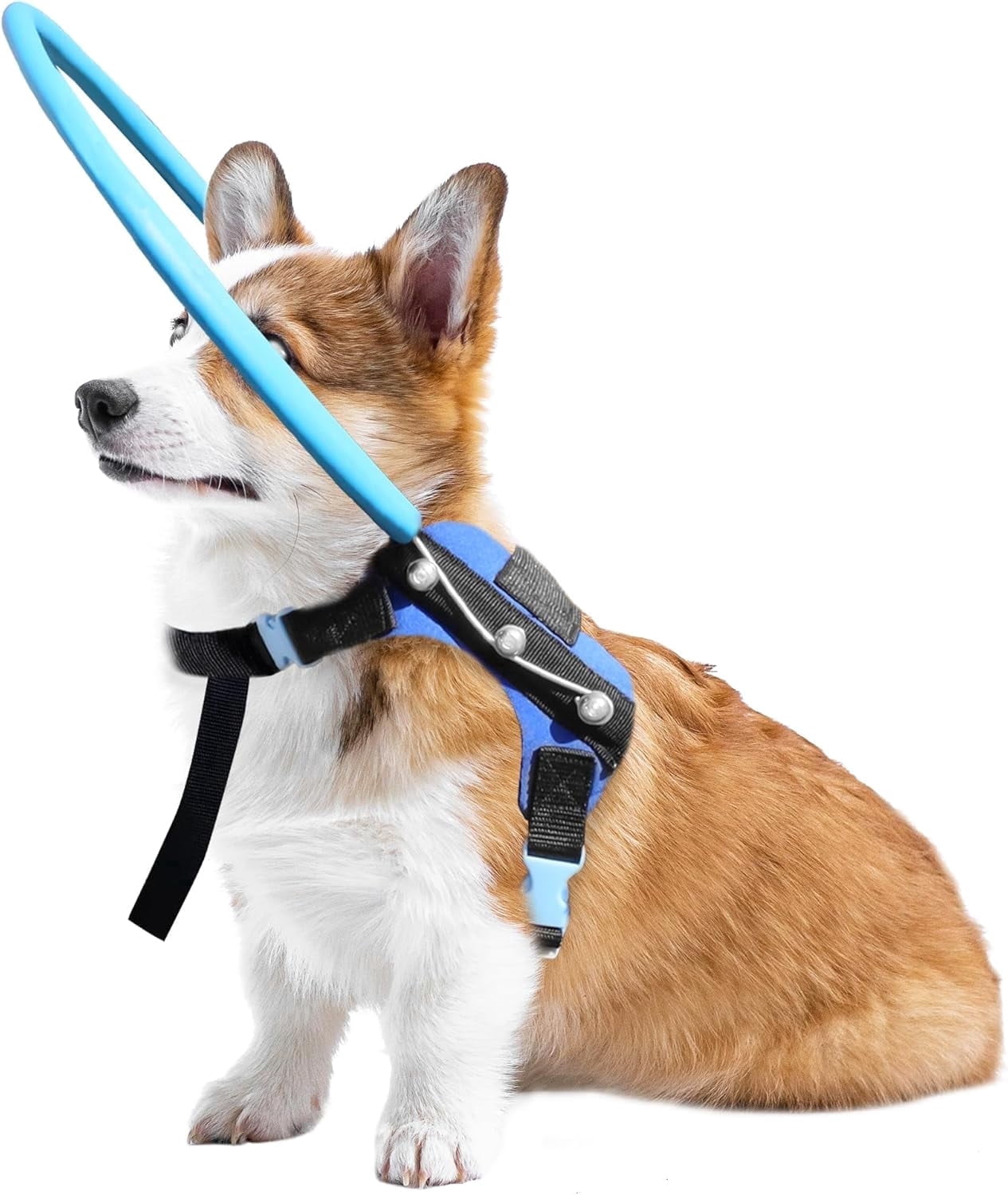 Blind Dog Halo Harness - Protective & Guiding Collar for Blind Dogs, Confidence Building Accessory, Extra Small