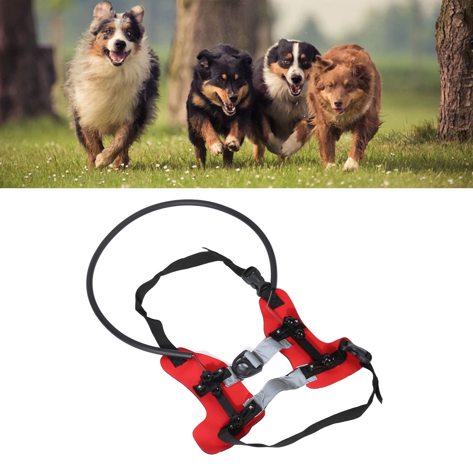 Blind Dog Halos Adjustable Wear Resistant Blind Dog Harness Guiding Device Ring Bumper Collar for Dogs Cats Pets S Walmart