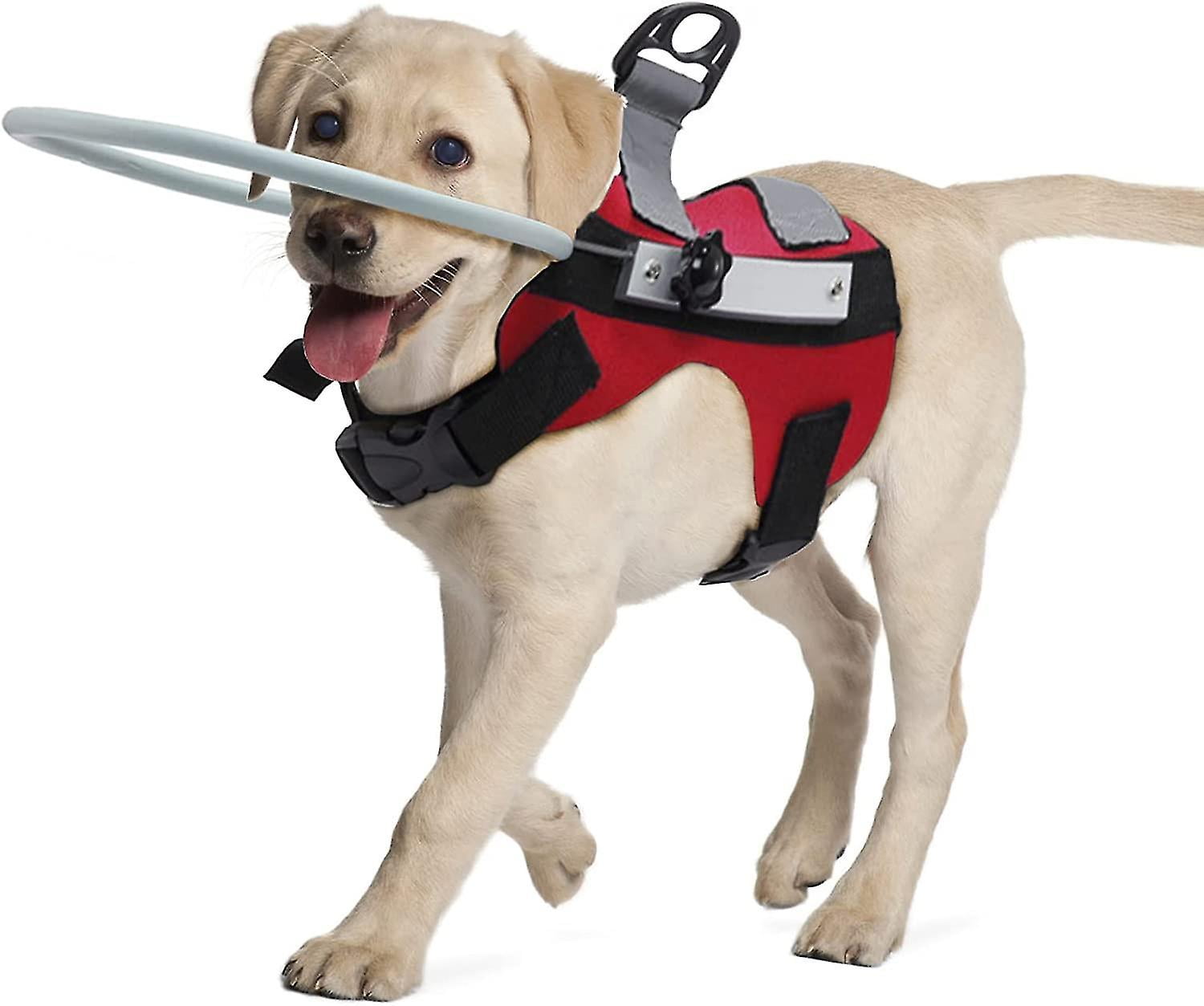 Denstyle Blind Dog Harness Guiding Device Blind Dog Halo Pet Anti Collision Ring to Protect Cats and Dogs with Blindness Blurred Vision Sick Eyes