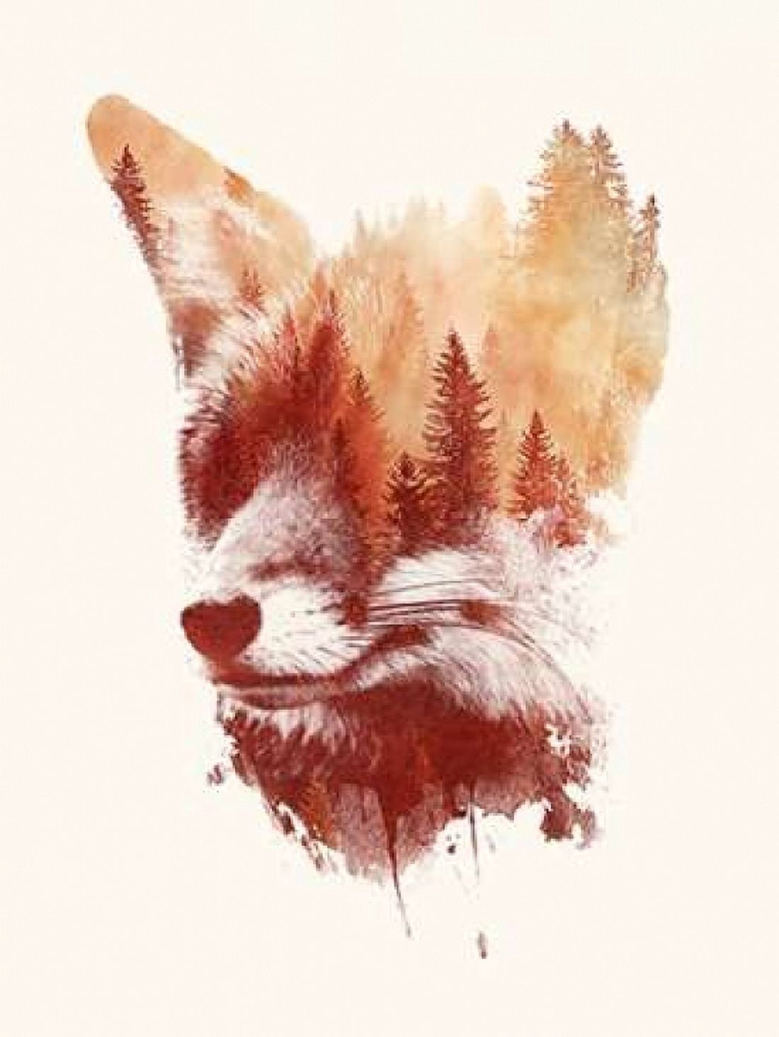 Blind Fox Canvas Art - Robert Farkas (22 x 28)