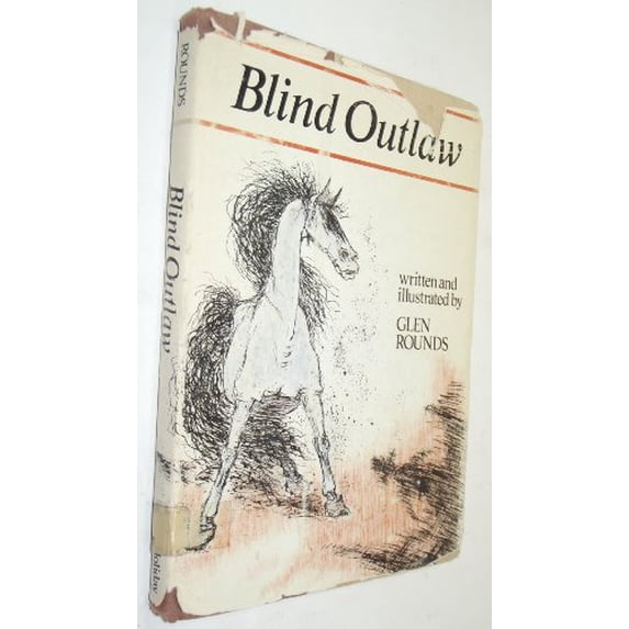 Pre-Owned Blind Outlaw (Hardcover) 0823404234 9780823404230