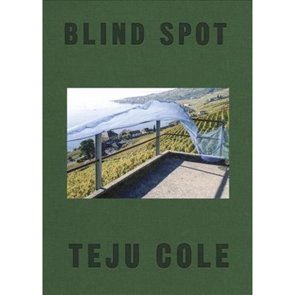 Pre-Owned Blind Spot (Hardcover) 9780399591075
