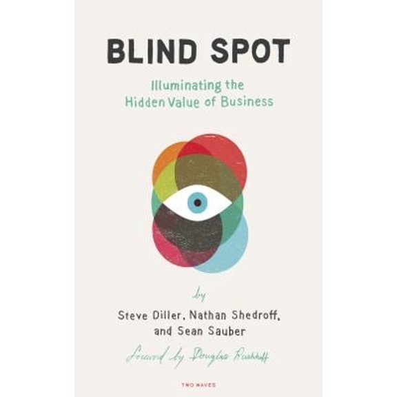 Pre-Owned Blind Spot : Illuminating the Hidden Value in Business (Paperback) 9781933820699