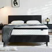 Blinddarm 12 Inch Queen Hybrid Memory Foam Mattress, Medium Firmness, Mattress in A Box, CertiPUR-US