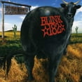 thumbnail image 1 of Blink-182 - Dude Ranch - Music & Performance - CD, 1 of 4
