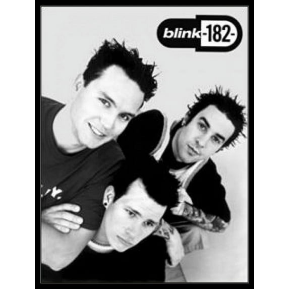 Blink 182 Studio Profile Laminated & Framed Poster (24 x 36)