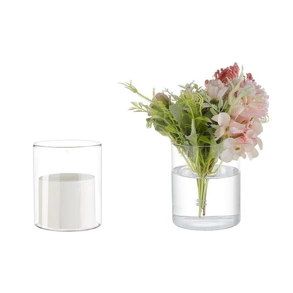 BlinkL 2 Pcs Glass Plastic Cylinder Vases Clear Hydroponic Plant Bottles, Modern Decorative Centerpieces Vases for Micro Landescape, Flower, Home, Weddings, Party , 4 Inch (H) x 3.1 Inch(W)